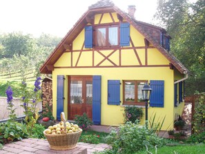 Exterior - "Holiday home in Alsace", between Strasbourg and Colmar on the wine route. (Mutzig)
