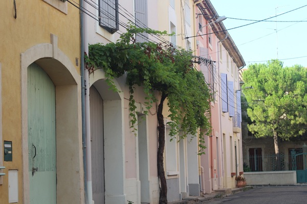 7 rue Marceau with the grape vine