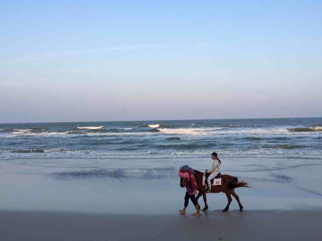 Escena de playa con un caballo y jinete caminando por la orilla.