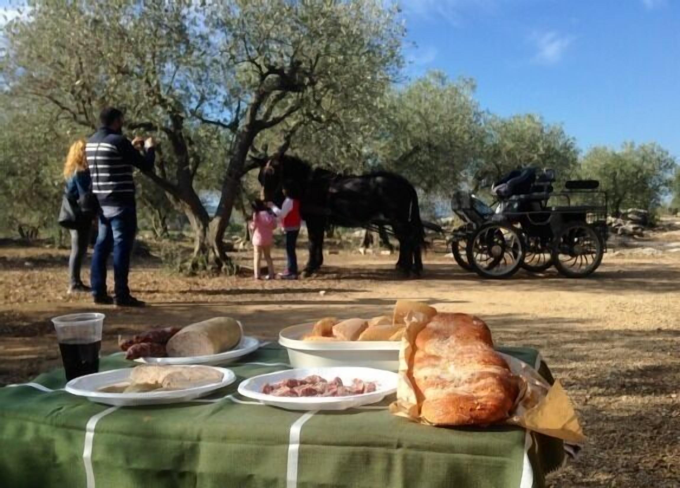 Self catering Can Barraca for 5 people