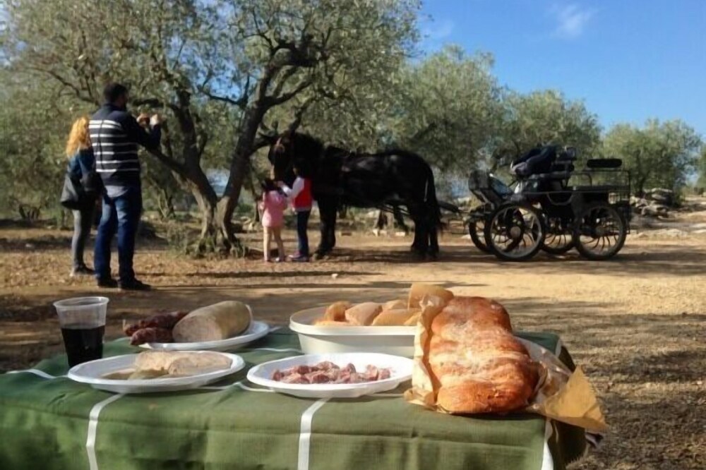 Self catering Can Barraca for 5 people