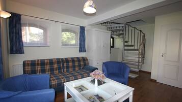 TV, DVD player, table tennis, stereo