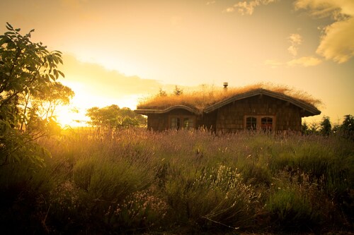 Yellow Shoe B&B, comfortable, country Bed and Breakfast