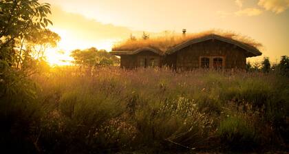 Yellow Shoe B&B, comfortable, country Bed and Breakfast