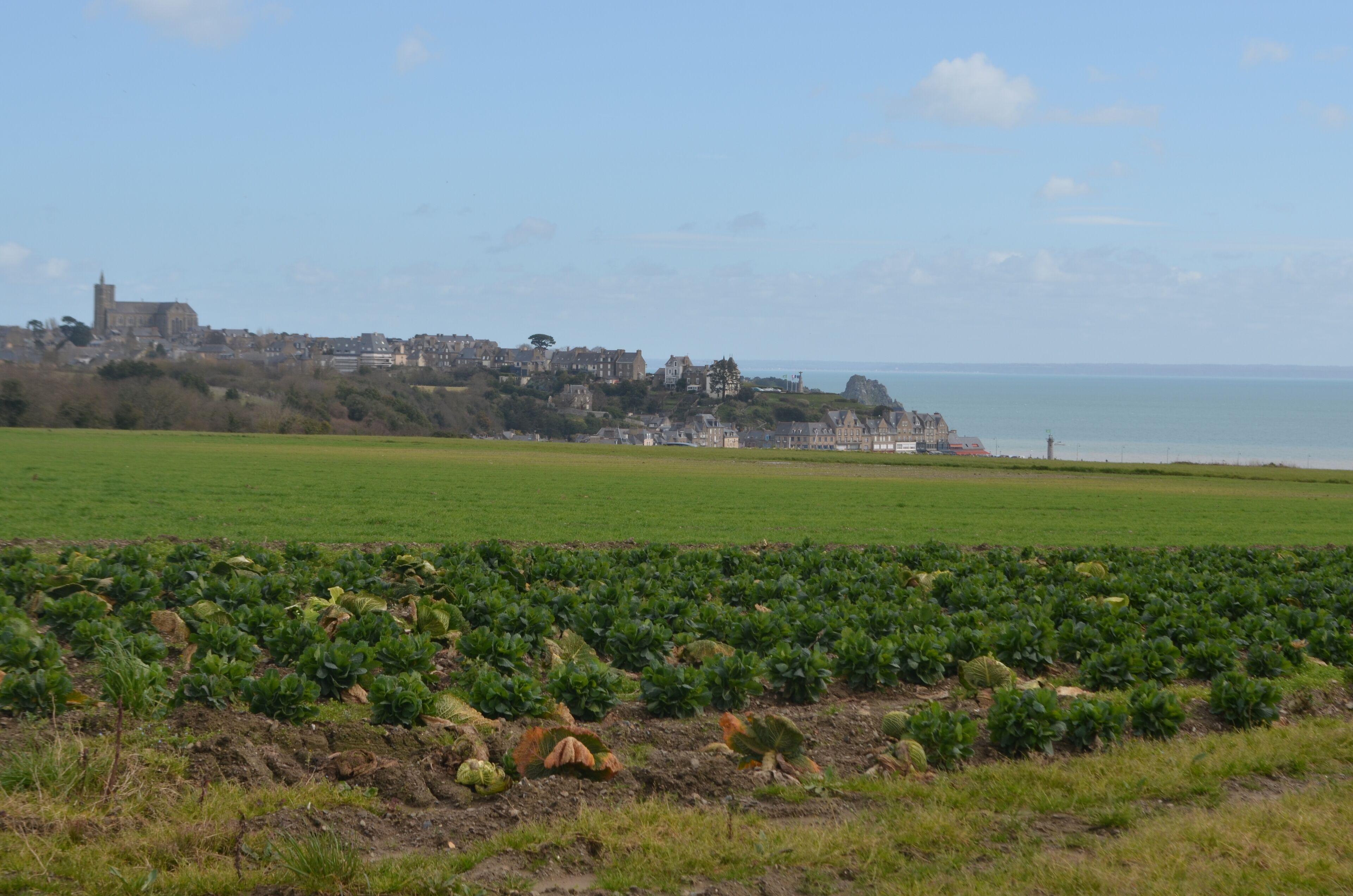 A coastal town with a large green field in the foreground and a historic building in the background.