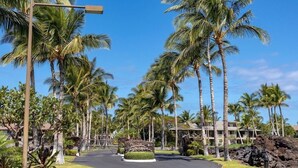 A pathway lined with palm trees leading to a building with a stone facade. - Includes Mauna Lani Beach Club Pass.  Golf Villa at Mauna Lani D3 (Waimea)