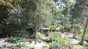 Ein Garten mit verschiedenen Pflanzen, einem Teich und einer Holzkonstruktion.