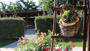 Un jardin avec une chaise en bois sur laquelle repose un panier tressé contenant une plante succulente.