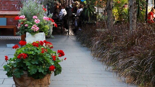 A paved outdoor area with potted plants and a wooden table. - Sinclairs City Hostel (Surry Hills)