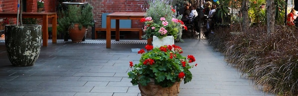 Terrace/patio - Sinclairs City Hostel (Surry Hills)