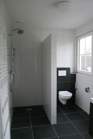 Shower, towels, toilet paper