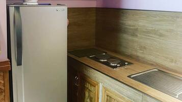 A compact kitchen with a refrigerator, a sink, and wooden cabinets.