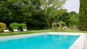 Une piscine rectangulaire à l’eau d’un bleu limpide, entourée d’une végétation luxuriante et d’arbres.