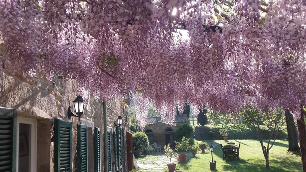 Un jardin agrémenté de cerisiers en fleurs, un bâtiment en pierre et du mobilier d’extérieur.