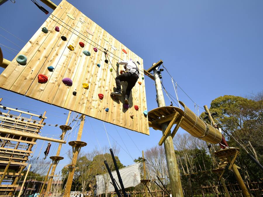 Eine hölzerne Kletterwand mit bunten Haltepunkten und Seilen.