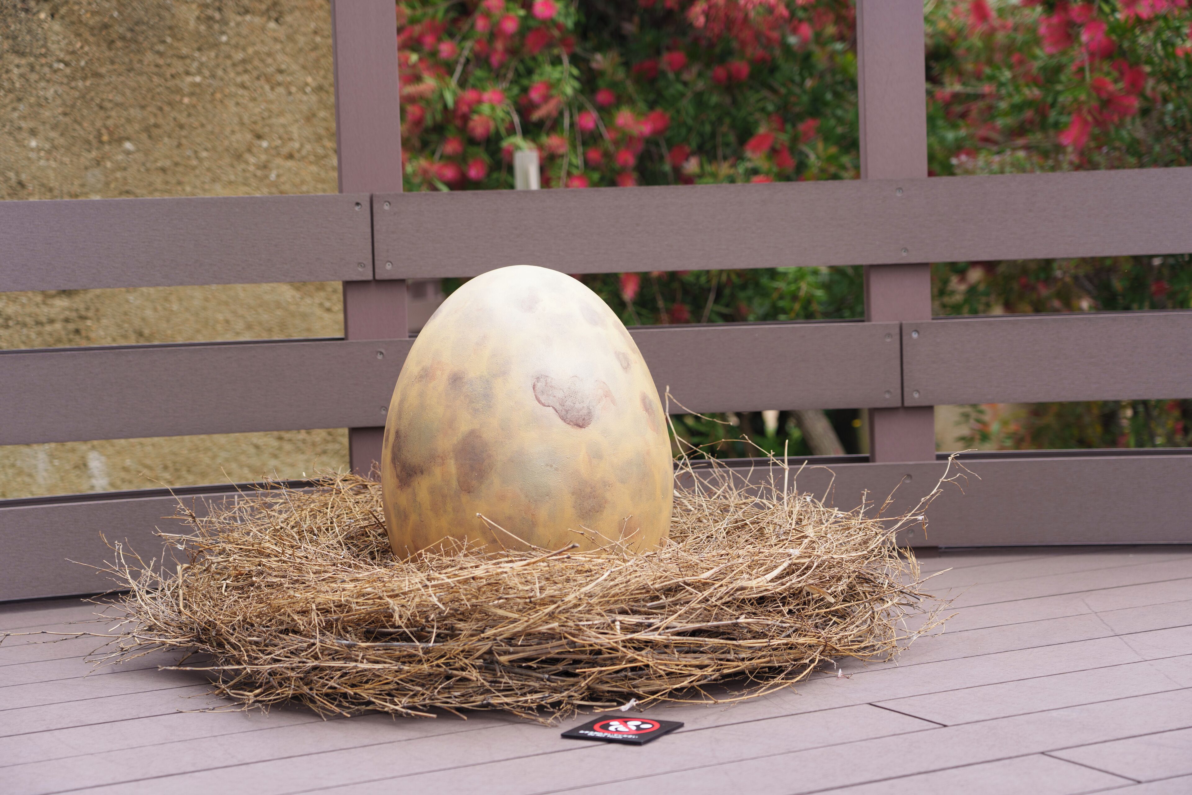 A large egg in a nest on a wooden deck with a fence and flowers in the background.