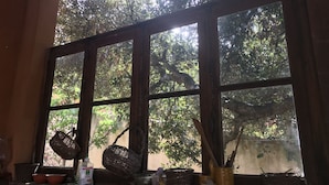 A room with a large window overlooking a garden. There are wicker baskets and a vase on the windowsill. - Peaceful charming paradise, beach at 70m, private swimming pool,  plancha (La Seyne-sur-Mer)
