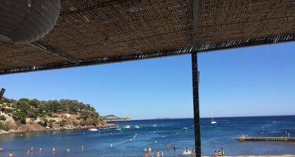 Mas am Mittelmeer mediterranes Herz 50 Jahre, friedliches kleines Paradies