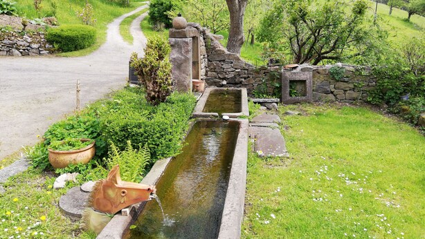 A stone water feature with a small pond, surrounded by greenery and a stone wall. - apartment/ flat - LAPOUTROIEHouse with character (Lapoutroie)