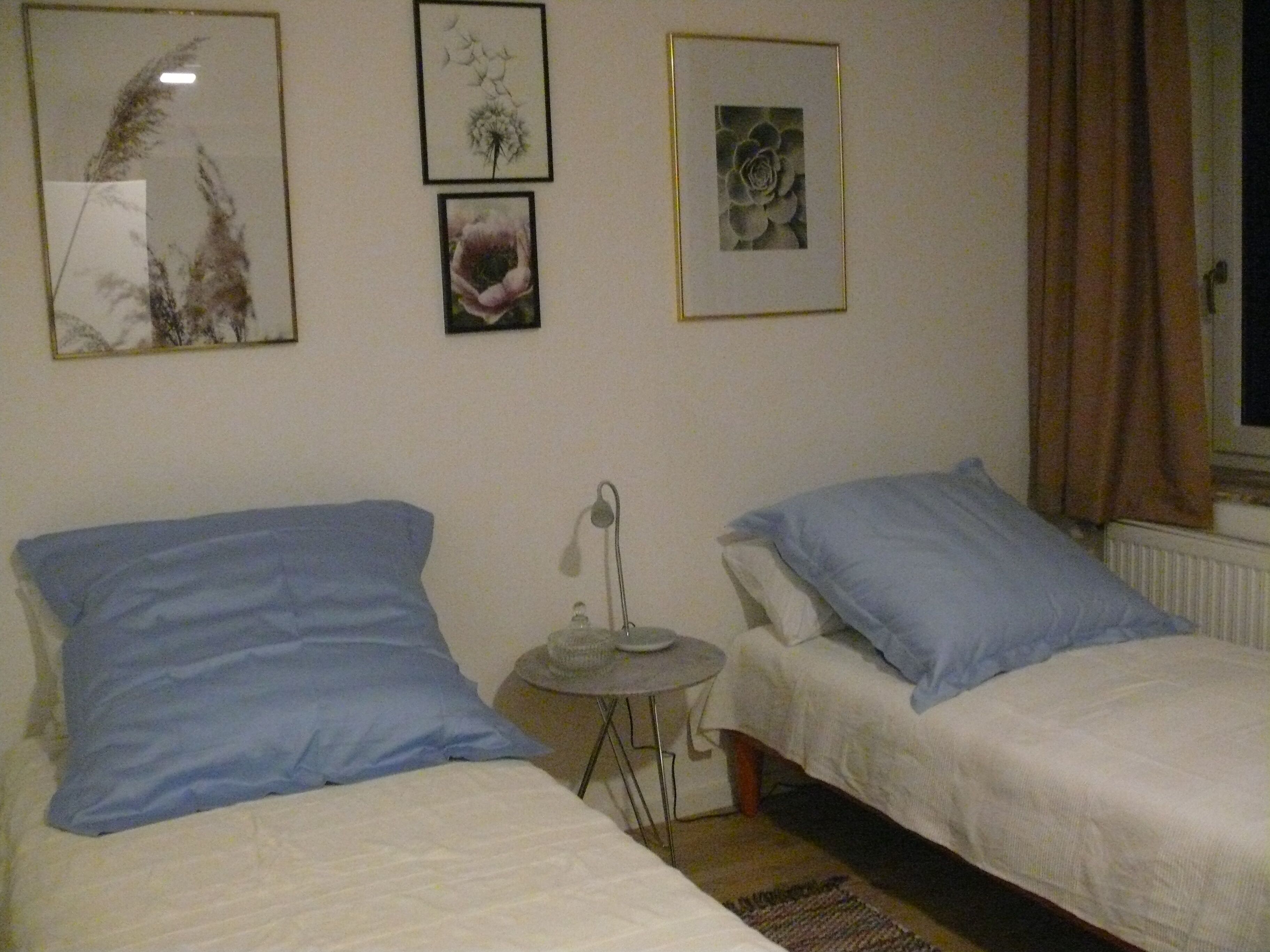 A room with two beds, each with blue and white bedding. There are three framed pictures on the wall, one of a dandelion, one of a flower, and one of a rose. A small table with a lamp is in the center of the room.