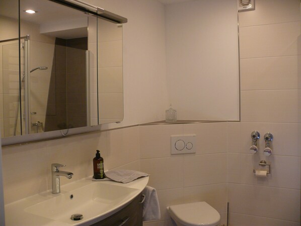 A modern bathroom with a sink, mirror, toilet, and shower.