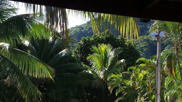 A pool area with lounge chairs and a table, surrounded by palm trees and a stone wall. - House in gated community beachfront - sleeps 8 - weekends/seasonal rental (São Sebastião)