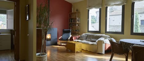 Televisión, chimenea y libros