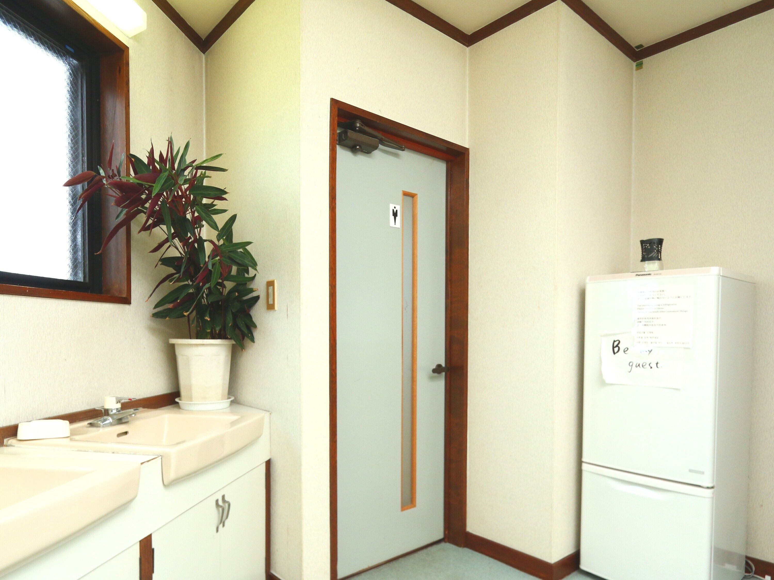 Una kitchenette pequeña con un lavamanos, un refrigerador y una planta en maceta.