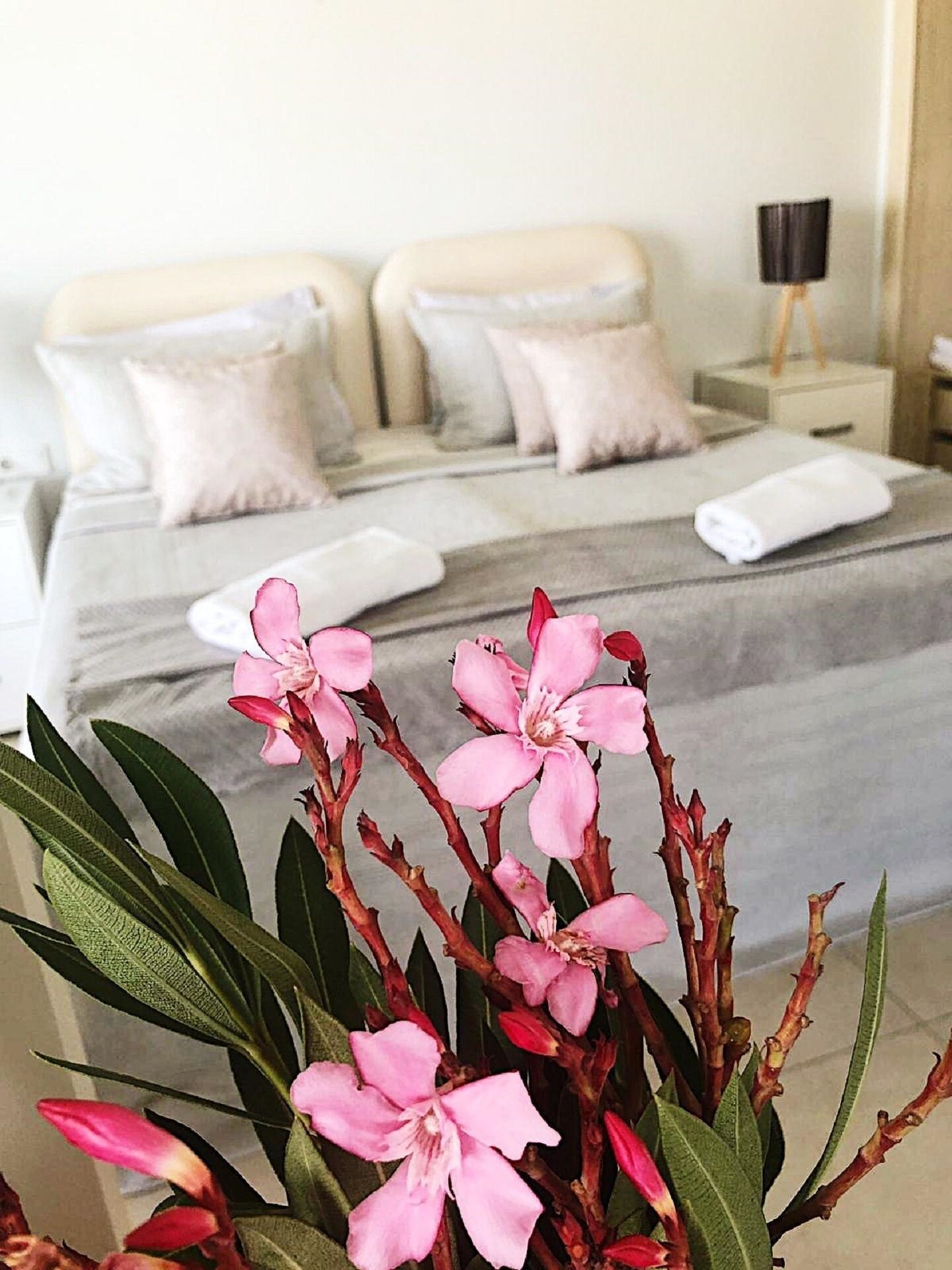 Beautiful 1 bed apt, Stunning views, outdoor Jacuzzi