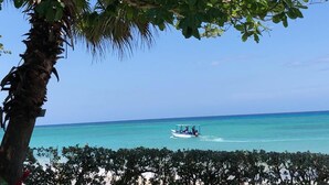A beach scene with a boat on the water and a palm tree in the foreground. - Baywatch - seaside villa, modern, spectacular location & garden, pool, cook (Runaway Bay)