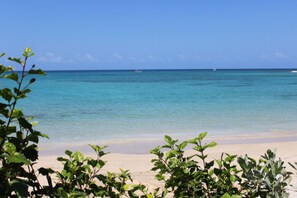 On the beach, sun loungers, beach towels - Baywatch - seaside villa, modern, spectacular location & garden, pool, cook (Runaway Bay)