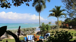 A beachside garden with lounge chairs, a palm tree, and a view of the ocean. - Baywatch - seaside villa, modern, spectacular location & garden, pool, cook (Runaway Bay)