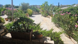 Un jardin agrémenté de différentes plantes en pot et doté d’un chemin en pierre.
