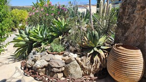 Un giardino con diverse piante e un vaso di terracotta di grandi dimensioni.