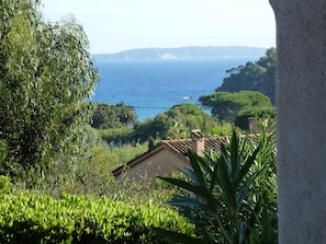 A coastal view with a house and lush greenery.