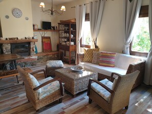 Televisión, chimenea, libros