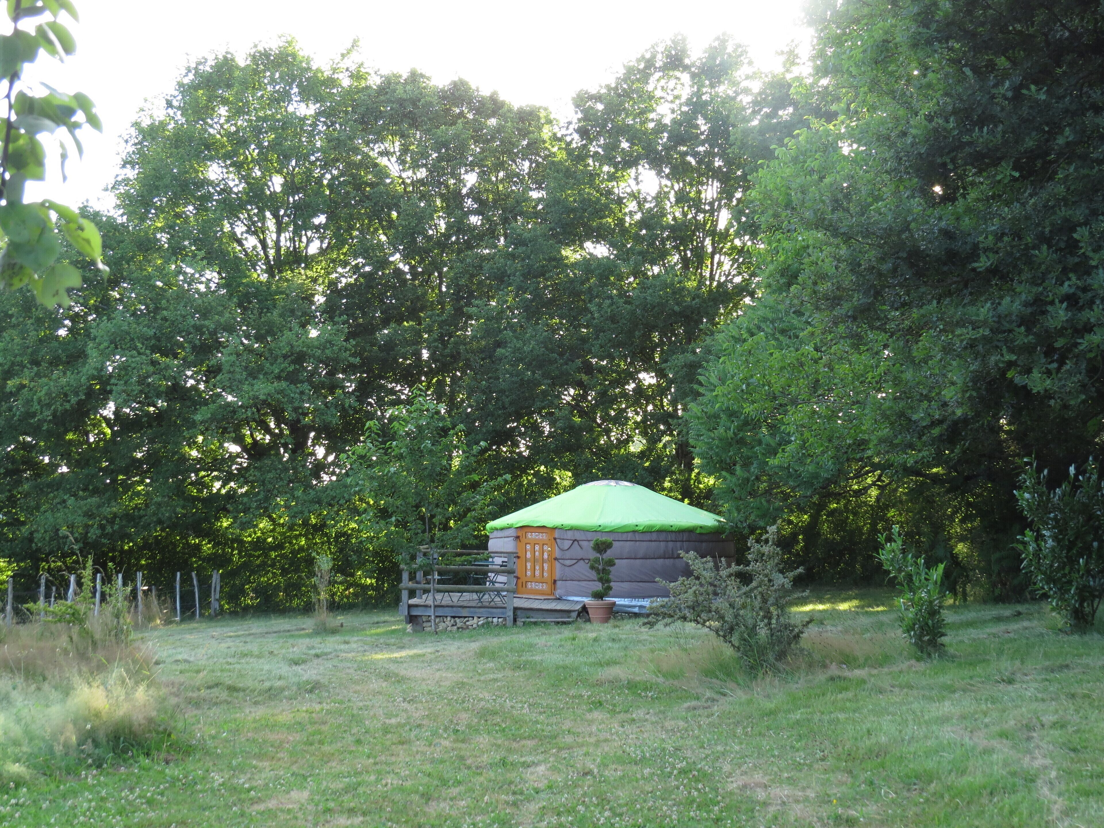 Yurt B & B on magnificent property