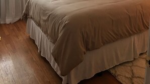 A bedroom with a bed, a ceiling fan, a window with curtains, and a lamp. - West County Gem - Easy access to STL attractions! (Des Peres)
