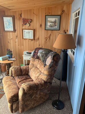 TV connectée, cheminée, lecteur de DVD, vidéothèque