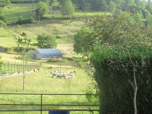 Property grounds - Cottage 4 pers Laruns (Laruns)