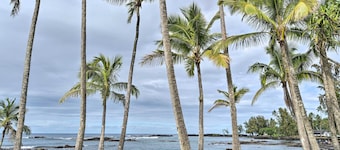 ¡NUEVO! Hilo Home w / Ocean View- 39 millas a Volcanes NP
