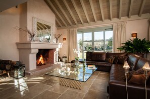 TV, fireplace, ping pong