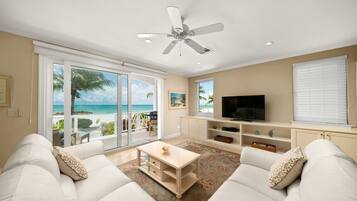 Smart TV, books, video library