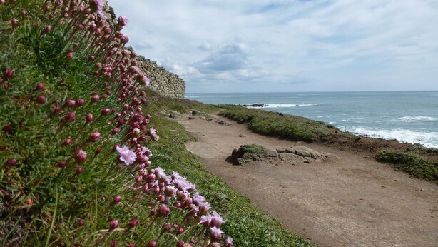 A coastal path with rocky cliffs and a view of the sea.