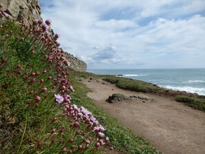 Ein Küstenpfad mit felsigen Klippen und Blick auf das Meer.