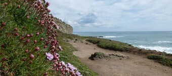 Beautiful house with its feet in the water, the sea at the end of the garden!