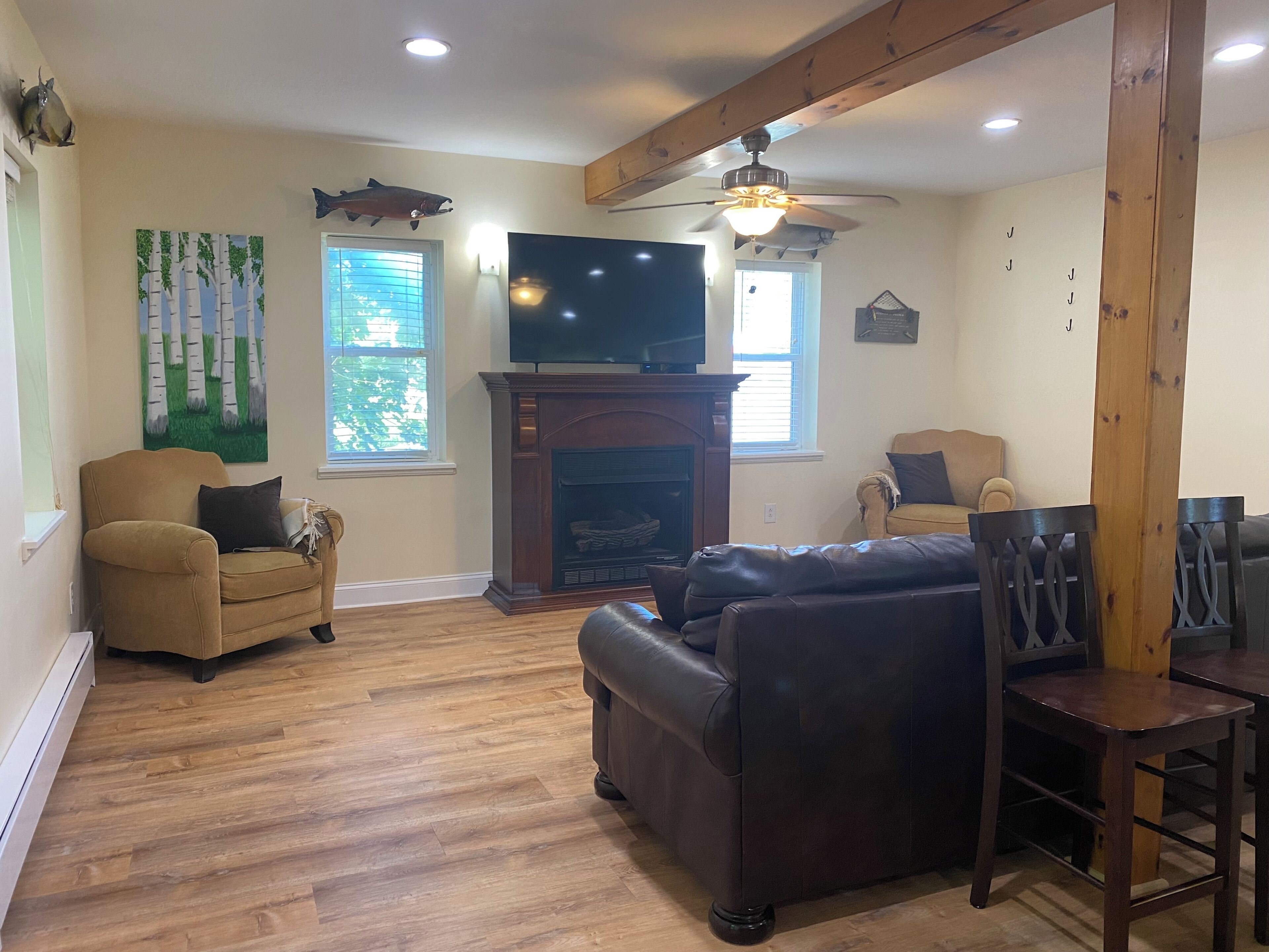 Smart TV, chimenea y libros 