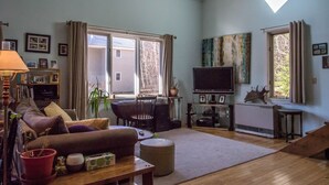 Un salon avec un canapé, un téléviseur, une cheminée et une fenêtre avec des rideaux.