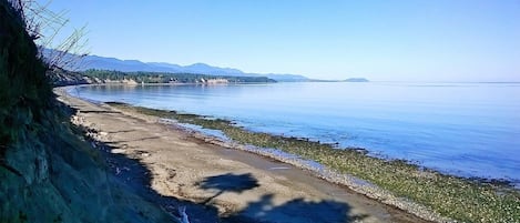 在海滩