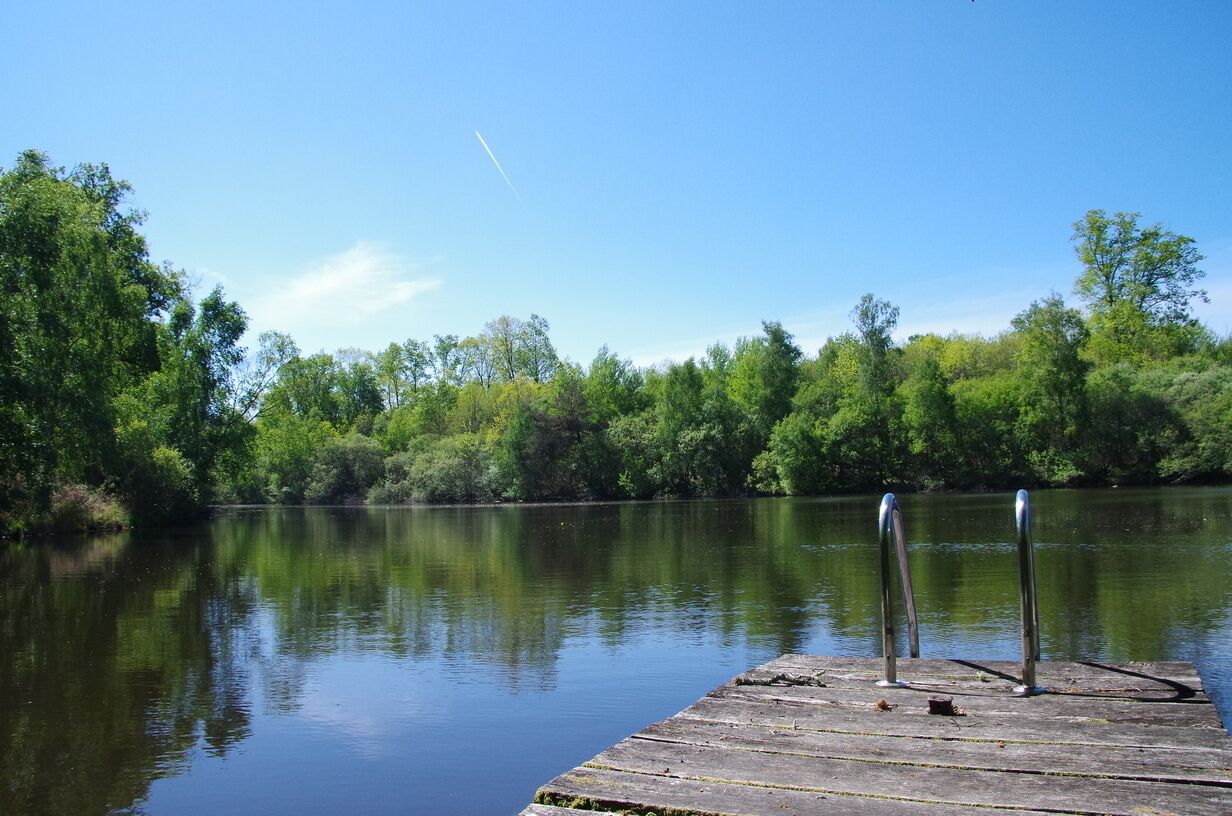 A wooden dock extending into a calm lake surrounded by dense greenery.